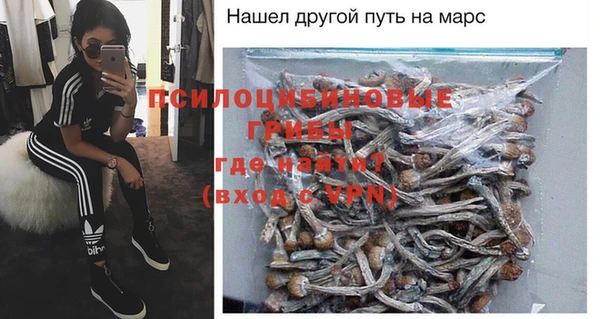 шишки Покровск