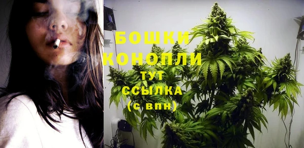 spice Покров