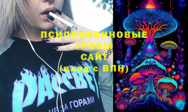 шишки Покровск