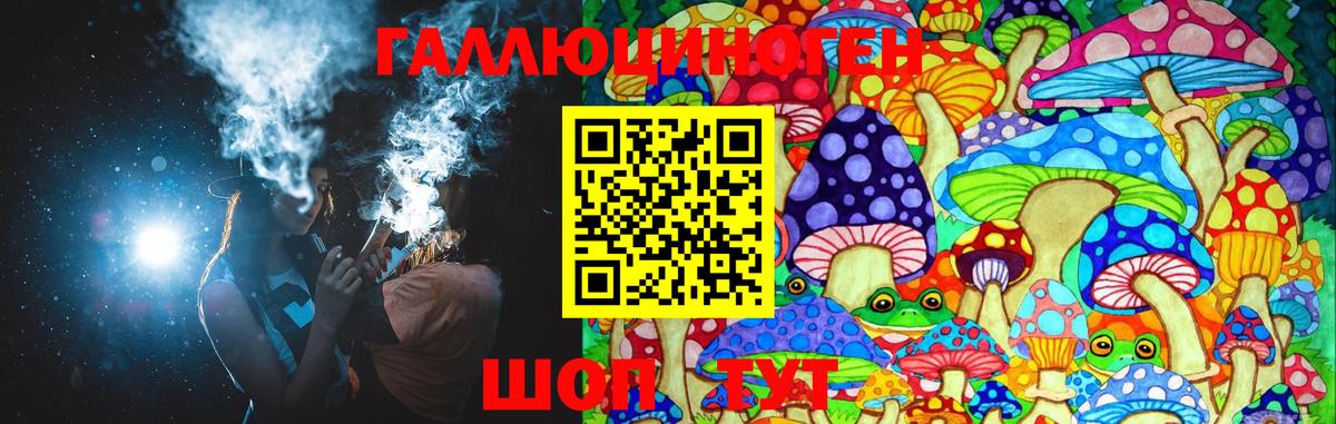Галлюциногенные грибы Psilocybine cubensis  Вход с VPN  Боровичи 
