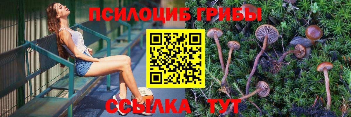 Галлюциногенные грибы Magic Shrooms Боровичи