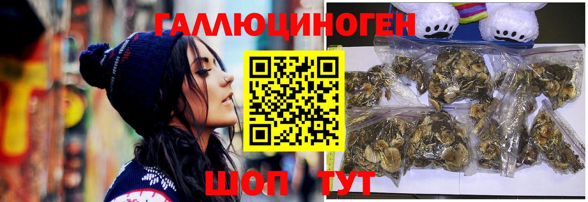 Галлюциногенные грибы мицелий  Боровичи 